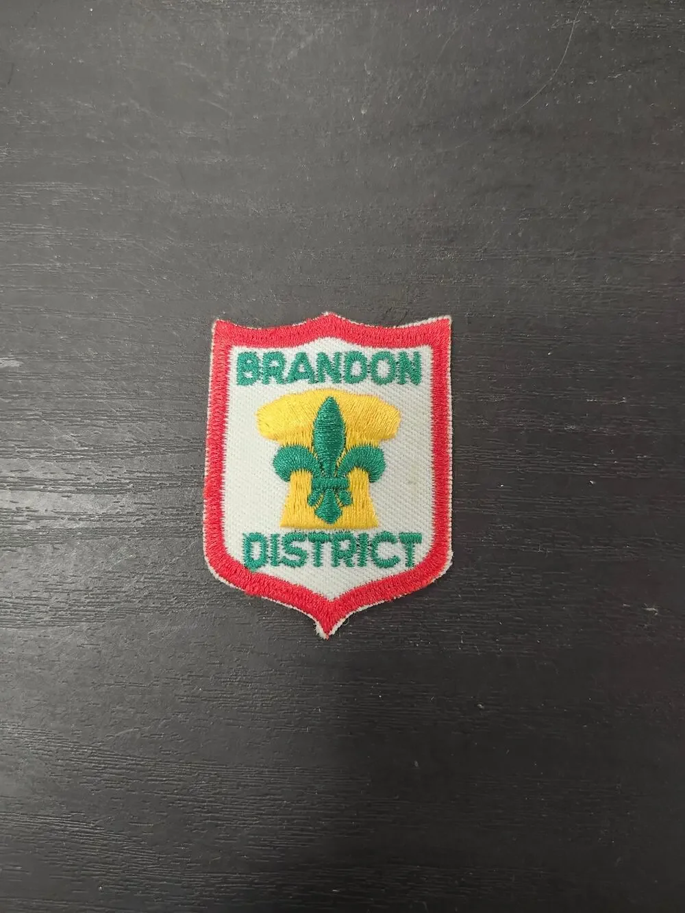 Brandon District Boy Scouts Patch BSA Embroidered Badge Fleur-de-lis Memorabilia